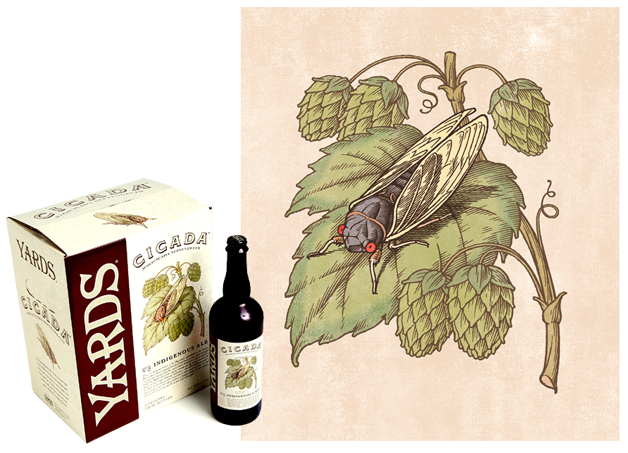 Beer label illustration for package and bottle in engraving style, color vector art
