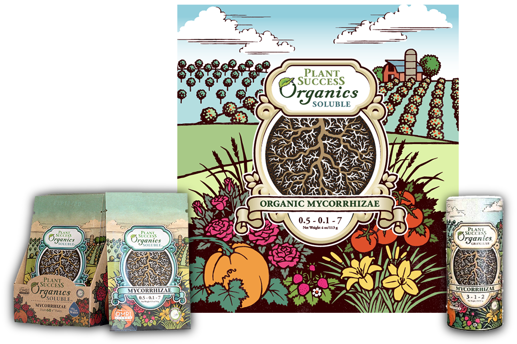Vector art illustration of a farm field, flowers and vegetables for an organic product packaging