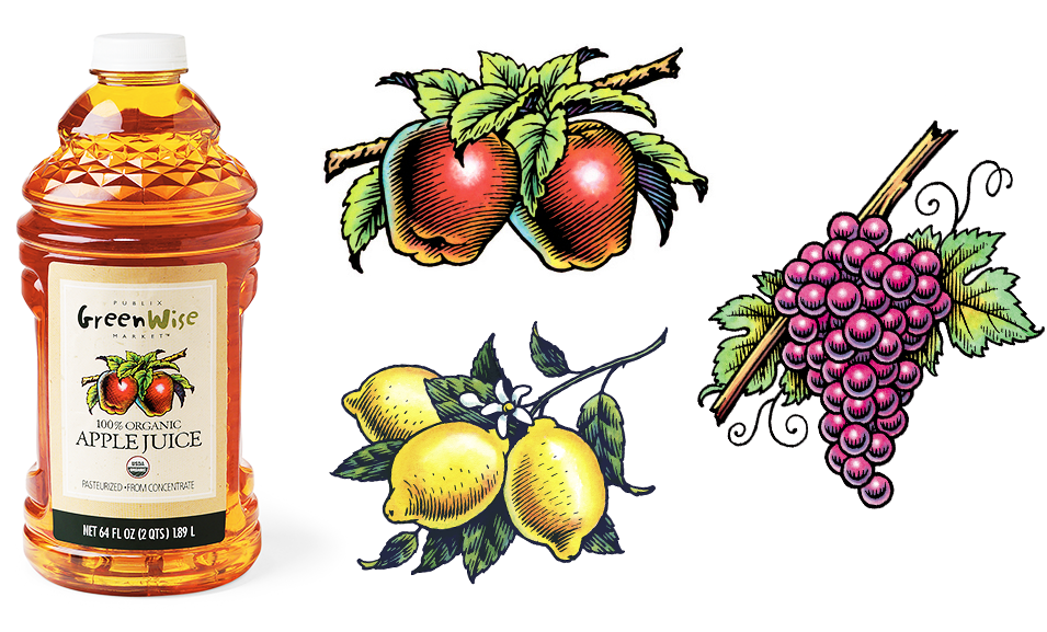 Classic style Pen & ink & watercolor illustration for fruit juice bottles
