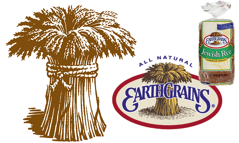 Vintage woodcut style wheat shock illustration, drawn by the illustrator for a bread company's logo.